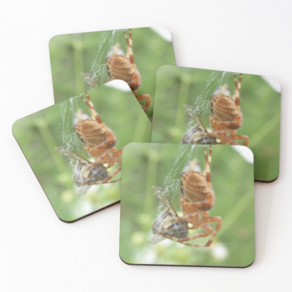 Item preview, Spider Caught a Bee Photograph designed and sold by naturegallery.