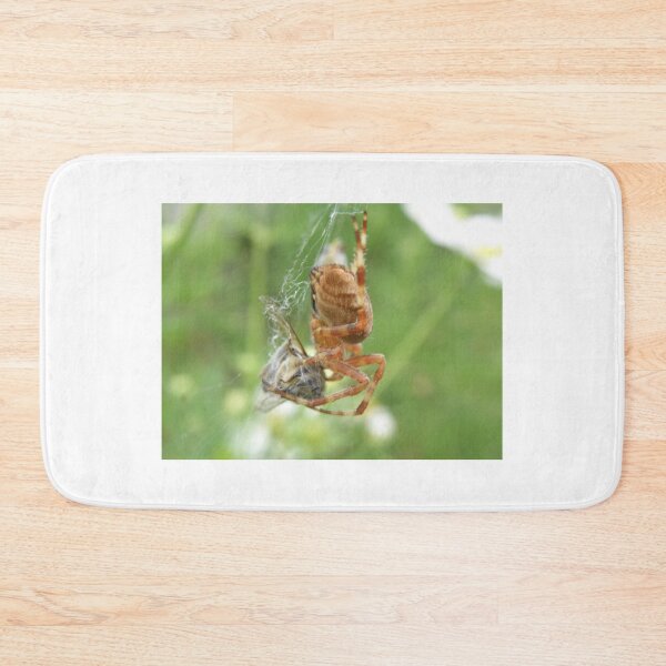 Item preview, Spider Caught a Bee Photograph designed and sold by naturegallery.