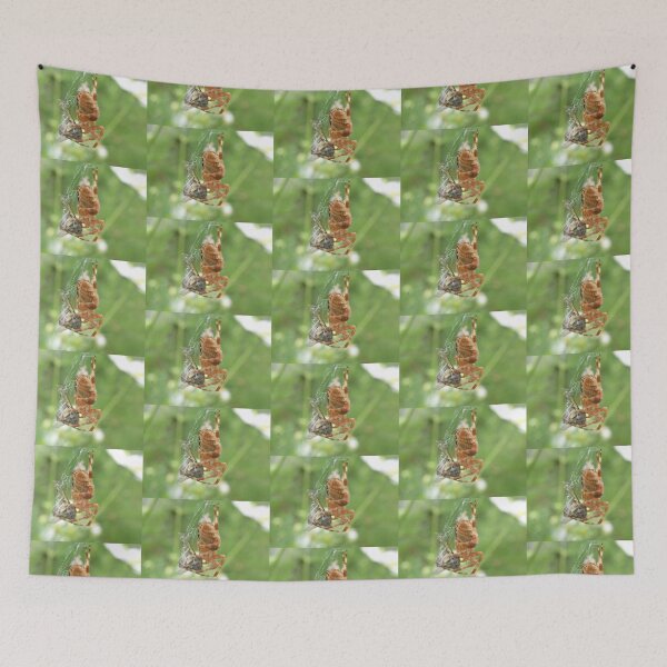 Item preview, Spider Caught a Bee Photograph designed and sold by naturegallery.