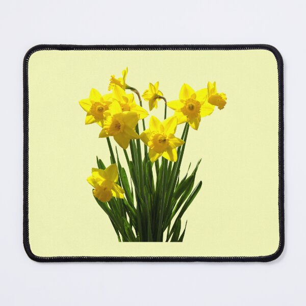 Item preview, Bright Yellow Daffodils designed and sold by Susan Savad.