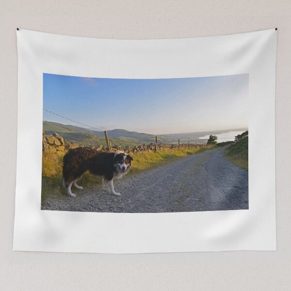 Item preview, Laddie Takes The High Road. designed and sold by Michael Haslam.
