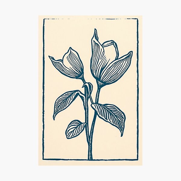 Aperçu de l'œuvre Fleur de lune du soir – Floral vintage créée et vendue par Planthem.
