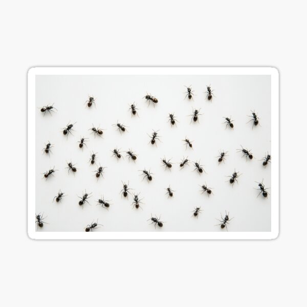 Vista previa del artículo con la obra «Muchas hormigas, hormigas, patrón de hormigas, diseño de hormigas, diseño divertido, decoración de hormigas, decoración de insectos, insectos, novedad», diseñado y vendido por GSizzle1.