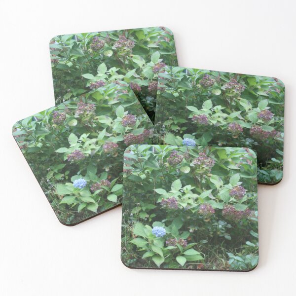Item preview, Hydrangeas designed and sold by Whimsicalplace.