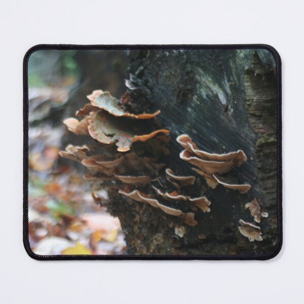 Item preview, Shelf Mushrooms designed and sold by Whimsicalplace.