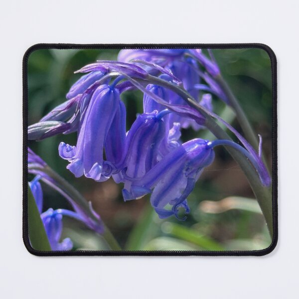 Item preview, bluebell designed and sold by Tizz07.