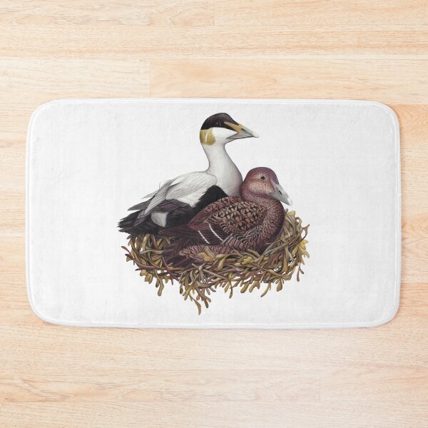 Item preview, Common Eider designed and sold by JadaFitch.