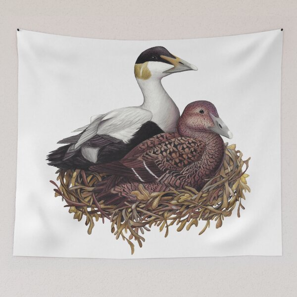 Item preview, Common Eider designed and sold by JadaFitch.