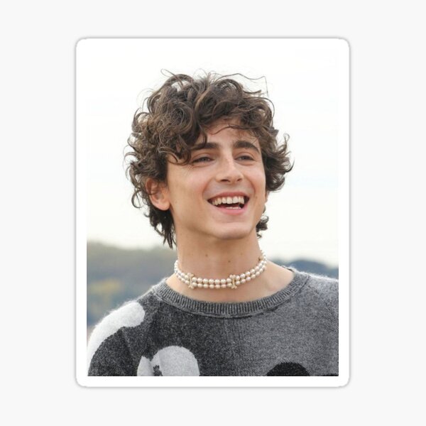 Item preview, Timothee Chalamet  Smile designed and sold by TribeMystic.