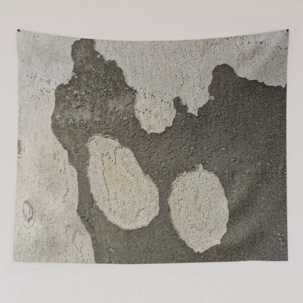 Item preview, Plane Tree Bark - Quill Gray, Plateau Gray designed and sold by Gaboro.
