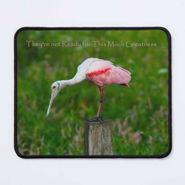 Item preview, Roseate Spoonbill designed and sold by CloserToTheArt.