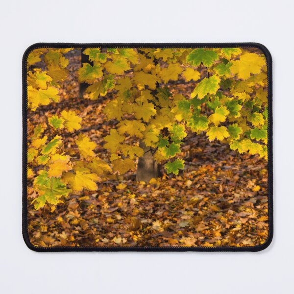 Item preview, Fall colors designed and sold by Parafull.