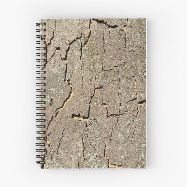 Item preview, Plane Tree Bark - Pale Taupe, Khaki, Matt Sage designed and sold by Gaboro.