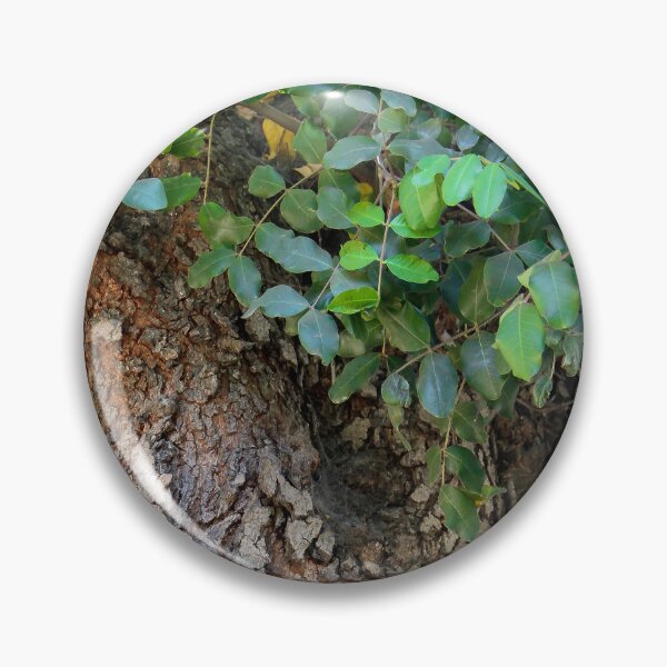 Item preview, Tree Life designed and sold by heatherfriedman.