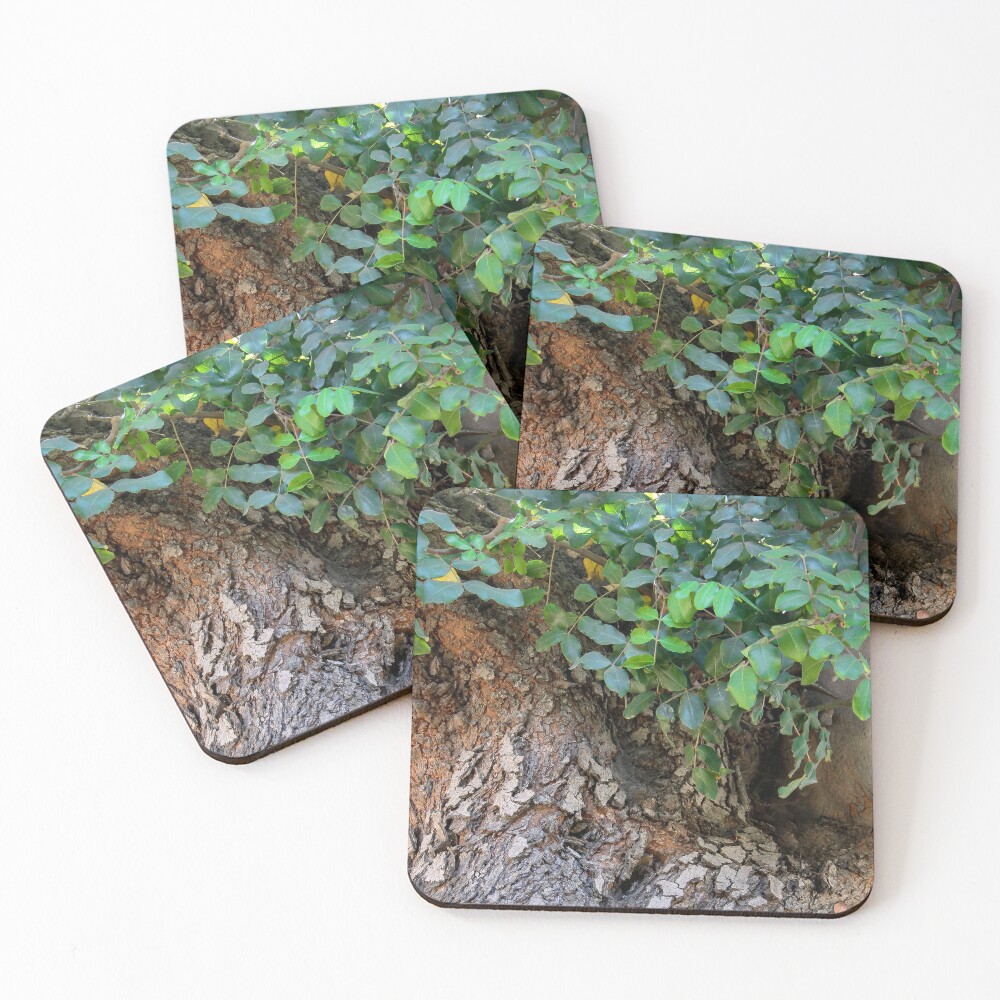 Item preview, Coasters (Set of 4) designed and sold by heatherfriedman.