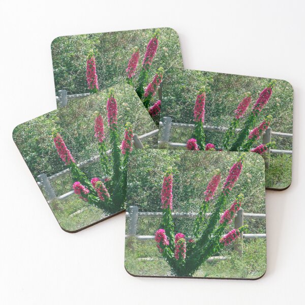 Item preview, Beauty on the Trail designed and sold by heatherfriedman.