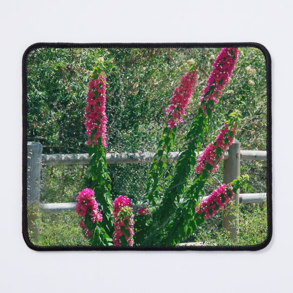 Item preview, Beauty on the Trail designed and sold by heatherfriedman.