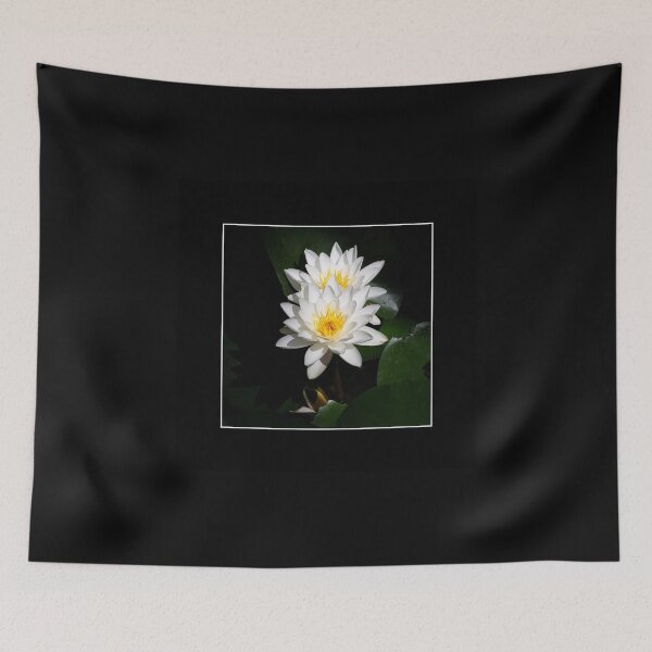 Item preview, Duet of white water lilies close up designed and sold by Maryna Gumenyuk.