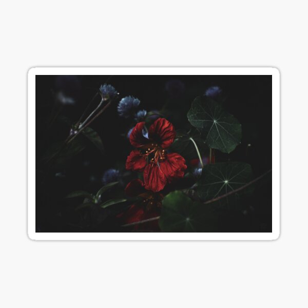 Item preview, A Silent Collision designed and sold by Hazardous Dreams Media.
