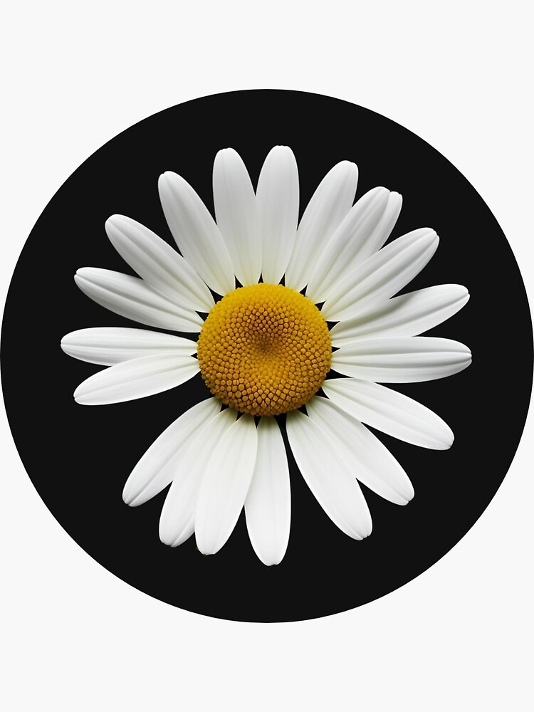 【Peaceminusone】 Daisy Sticker Tape #1 (Set of 3) G-Dragon Peaceminusone stickers,flowers decal,creative