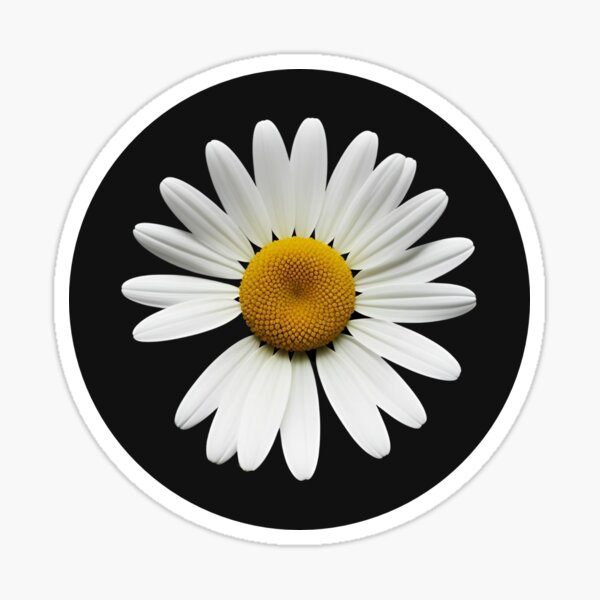 GDragon daisy inspired sticker Sticker