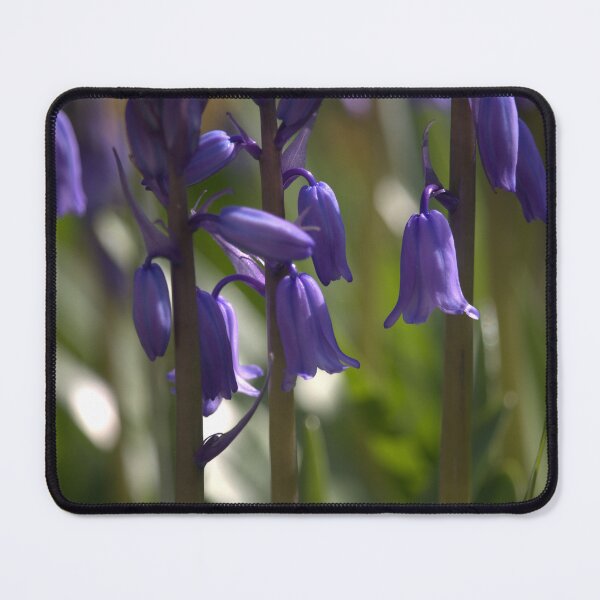 Item preview, Bluebells bathed in early morning spring sunlight designed and sold by The-Inner-Light.