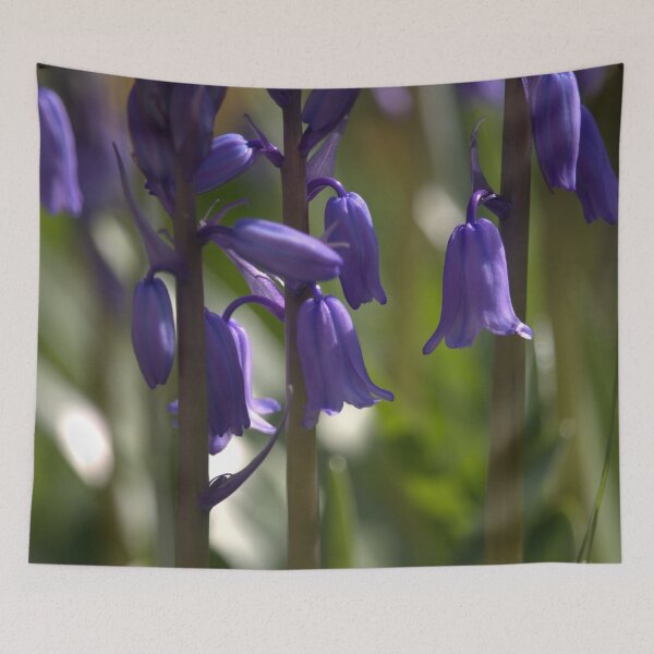 Item preview, Bluebells bathed in early morning spring sunlight designed and sold by The-Inner-Light.