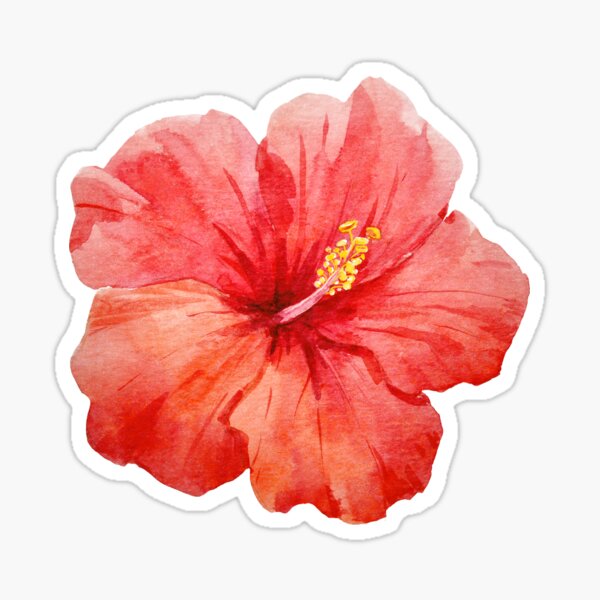 Vista previa del artículo con la obra «Flor Hibiscus», diseñado y vendido por hey-its-mimi.