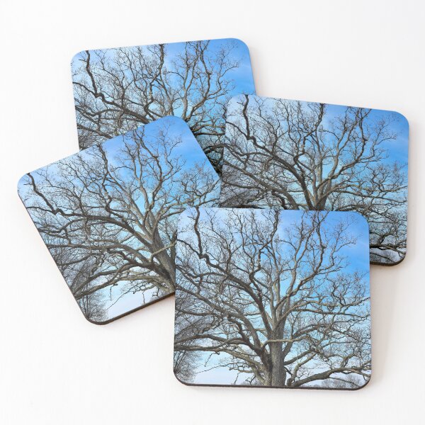 Item preview, Spooky Tree designed and sold by bjtomiko.