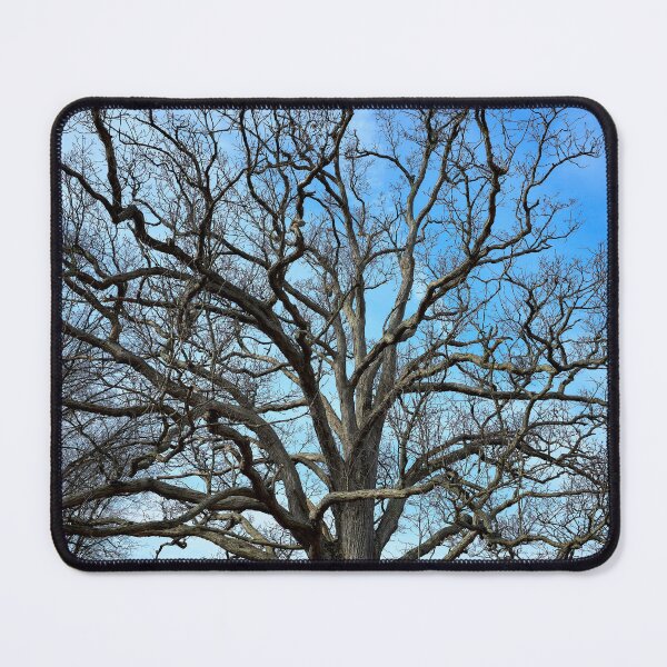 Item preview, Spooky Tree designed and sold by bjtomiko.