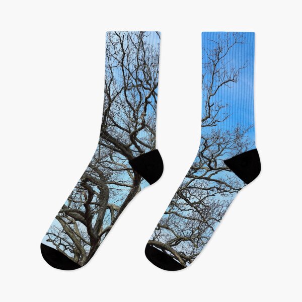 Item preview, Spooky Tree designed and sold by bjtomiko.