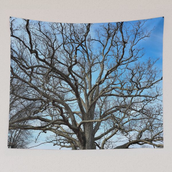 Item preview, Spooky Tree designed and sold by bjtomiko.