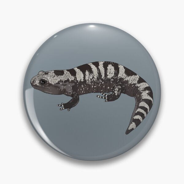 Item preview, Detailed Marbled Salamander designed and sold by taylorrowan.
