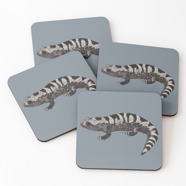 Item preview, Detailed Marbled Salamander designed and sold by taylorrowan.