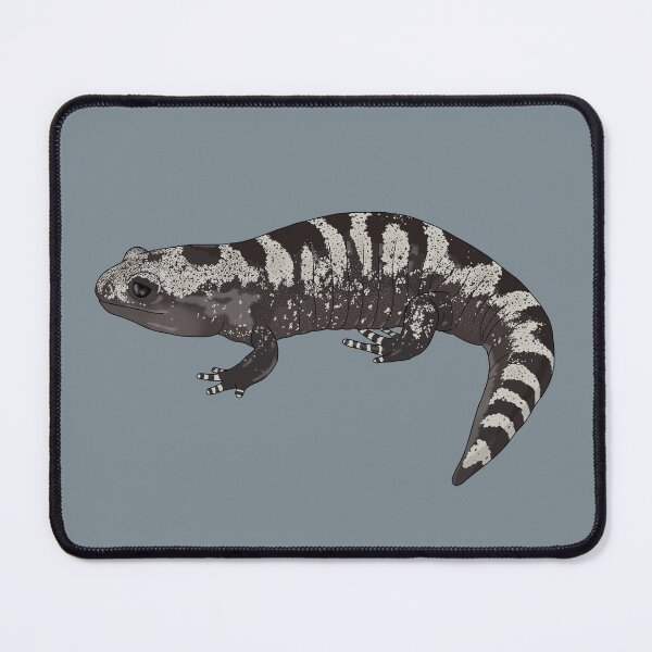 Item preview, Detailed Marbled Salamander designed and sold by taylorrowan.