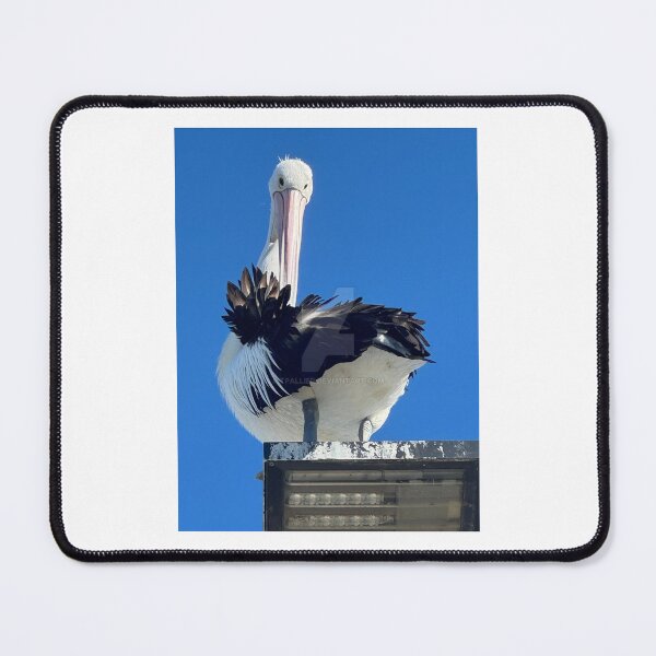 Item preview, PELICAN - at Shell Cove designed and sold by trevorp.