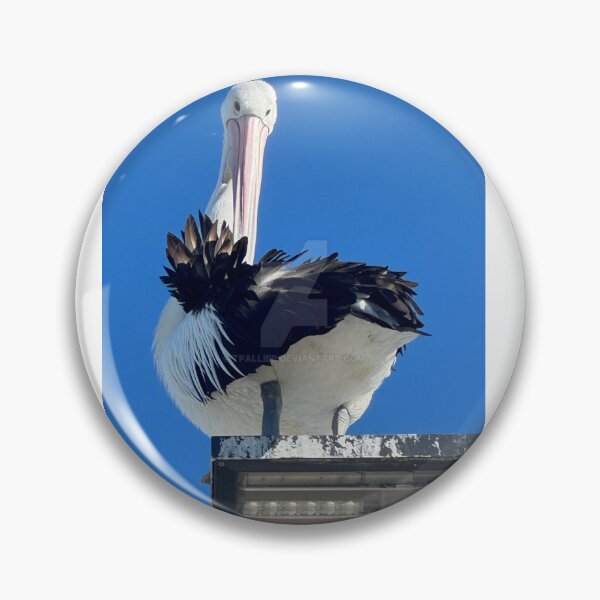 Item preview, PELICAN - at Shell Cove designed and sold by trevorp.