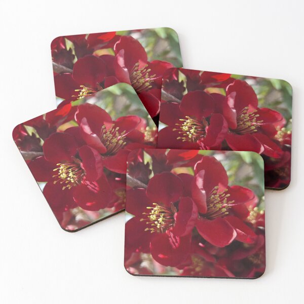 Item preview, Kurokoji designed and sold by Betsy Phillips.
