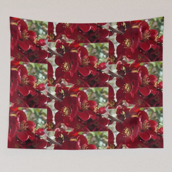 Item preview, Kurokoji designed and sold by Betsy Phillips.