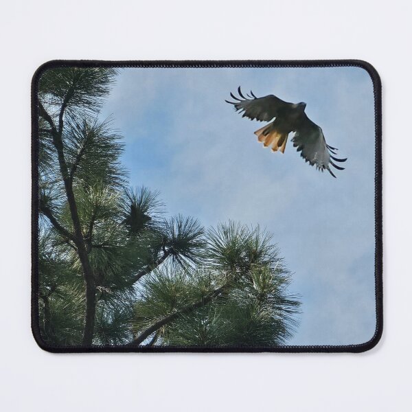 Item preview, Red-tailed Hawk  designed and sold by mcraefriedman.