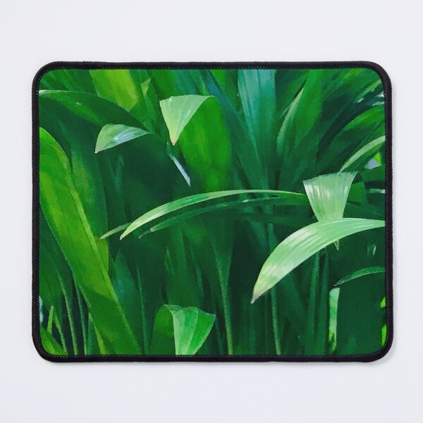 Item preview, Luxurious, Long Stem Leaves Elegant Art Photo designed and sold by DEC02.