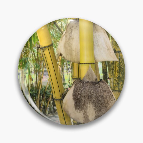 Item preview, Bamboo Leaf Remains on Node ( 1 ) designed and sold by Larry Davis.
