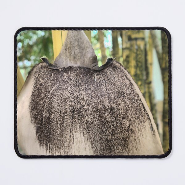Item preview,  Bamboo Leaf Remains on Node ( 2 ) designed and sold by Larry Davis.