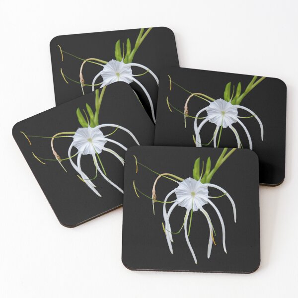 Item preview, Exotic White designed and sold by Dreamscape Eclectic .