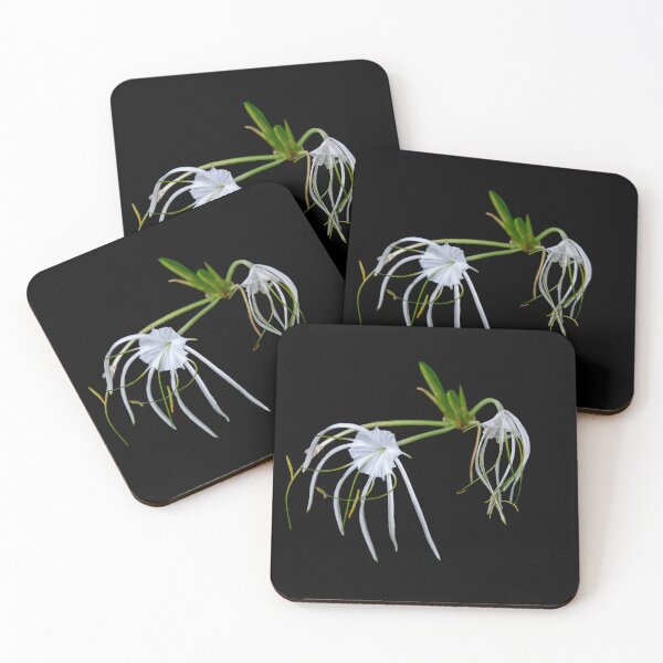 Item preview, Exotic White designed and sold by Dreamscape Eclectic .