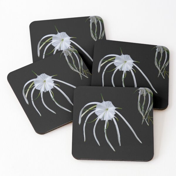 Item preview,  Exotic White designed and sold by Dreamscape Eclectic .