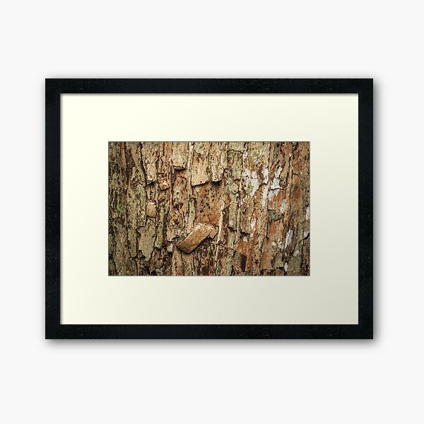 Item preview, Rhodamnia argentea Tree Bark designed and sold by robdwildlife.