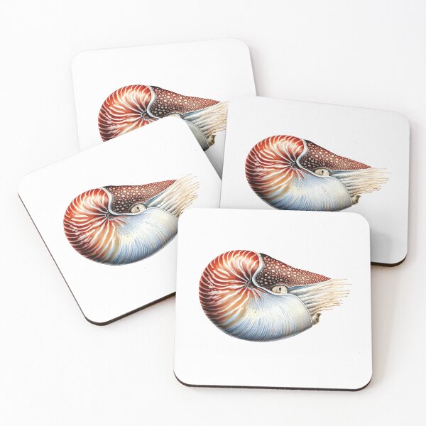 Item preview, Hyper-realistic chambered nautilus designed and sold by wonderisland.