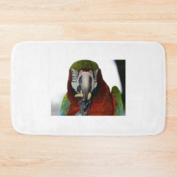 Item preview, Red And Green Macaw designed and sold by MercerImages.