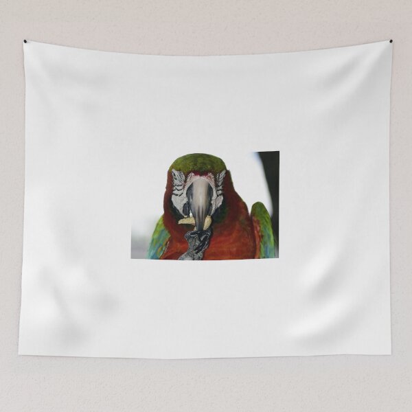 Item preview, Red And Green Macaw designed and sold by MercerImages.